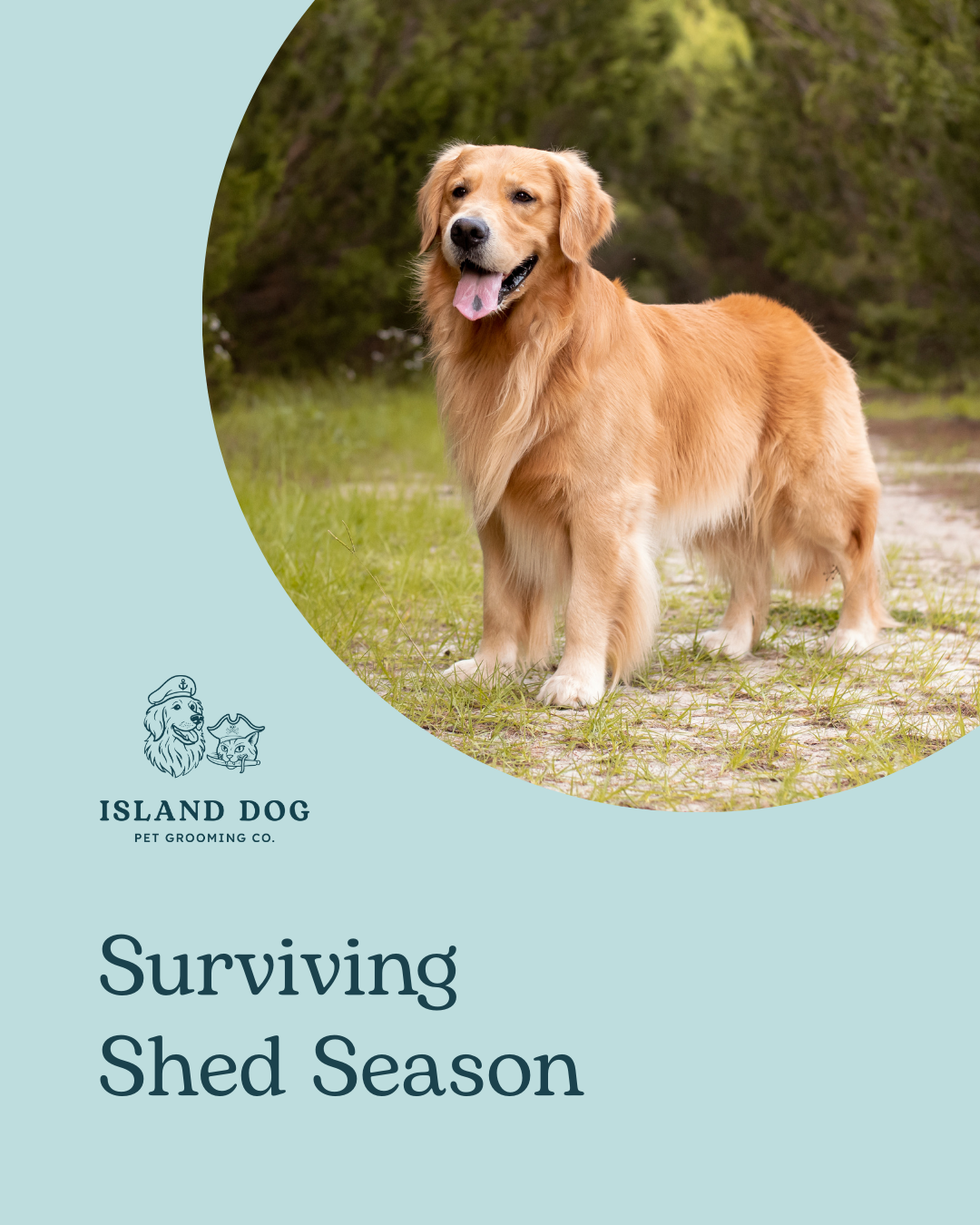 surviving shed season