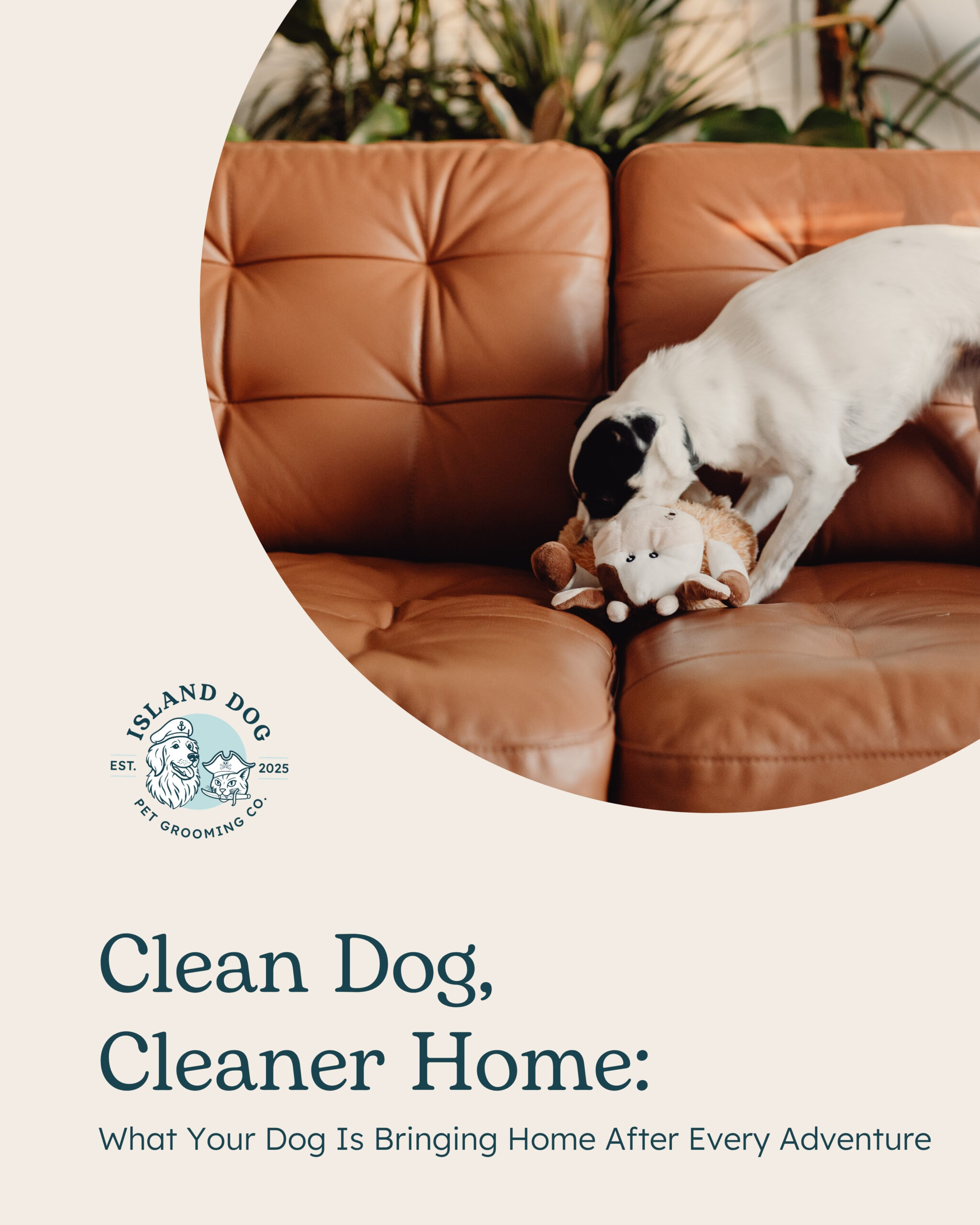 How Dirty Is Your Dog? What They're Bringing Home After Every Adventure