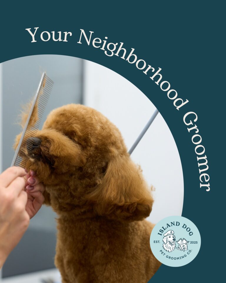 Instagram post from islanddoggroomingco. This post is in position 5.