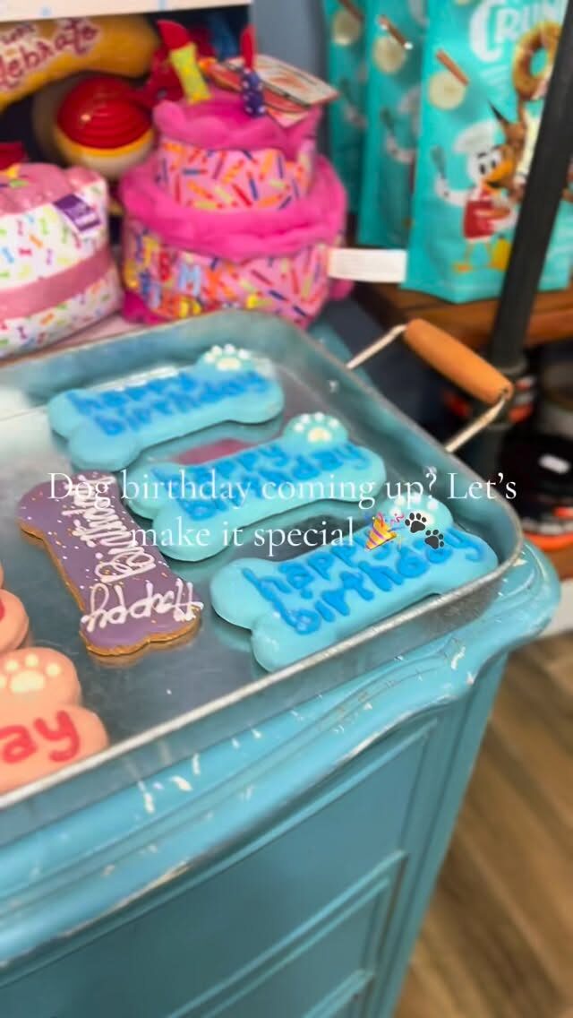 Instagram post from islanddoggroomingco. This post is in position 6.