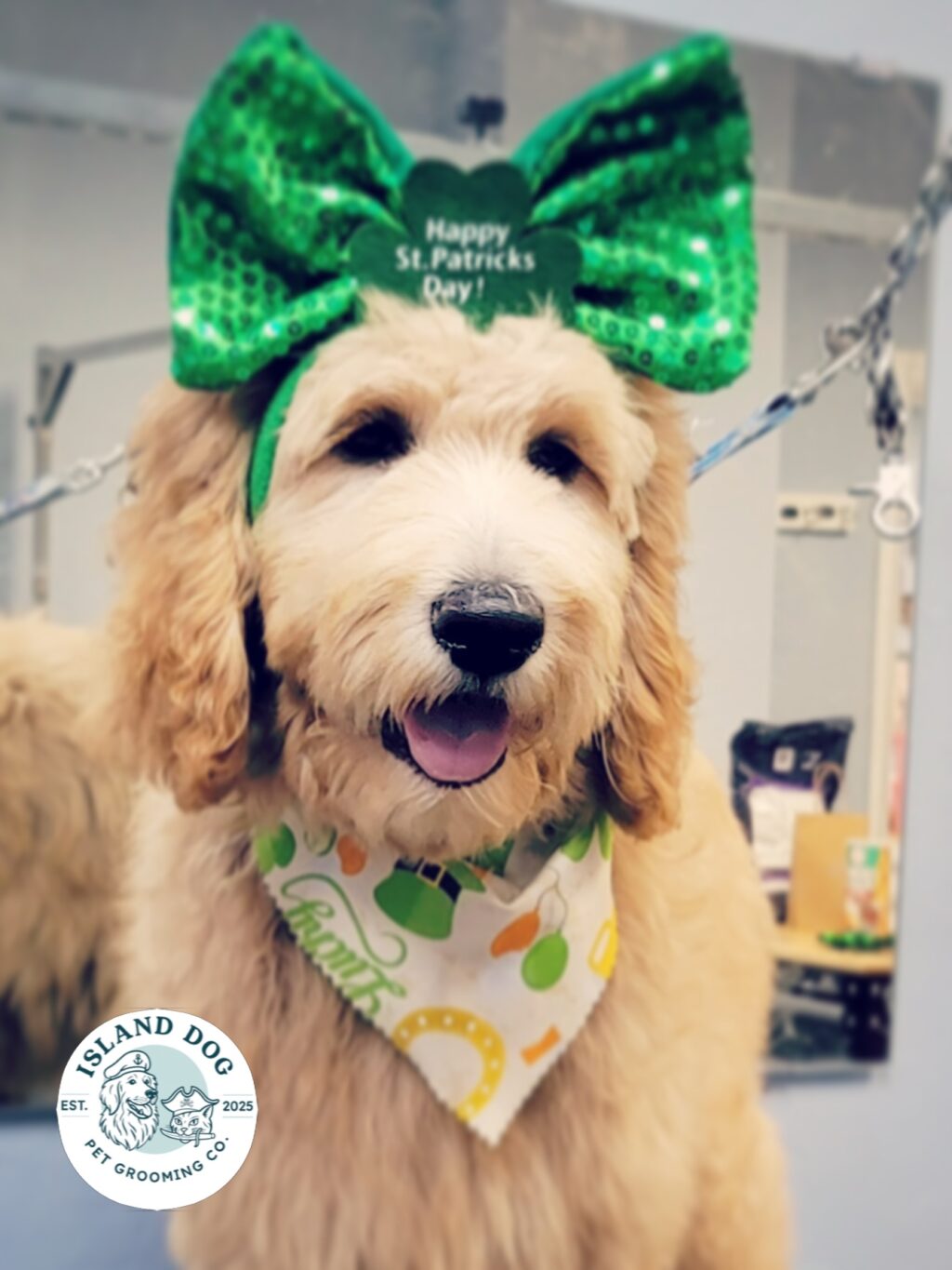Instagram post from islanddoggroomingco. This post is in position 2.
