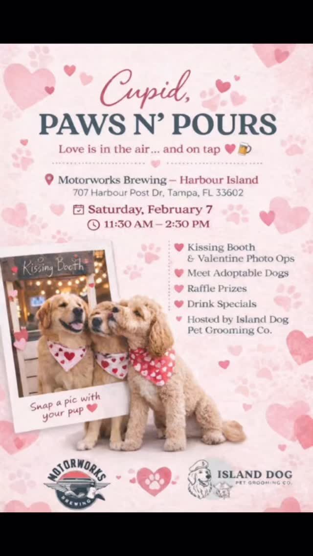 Instagram post from islanddoggroomingco. This post is in position 1.