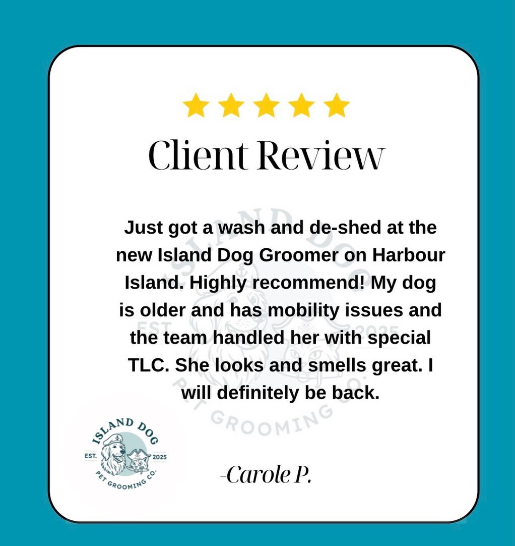 Instagram post from islanddoggroomingco. This post is in position 2.