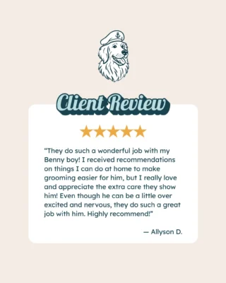 Instagram post from islanddoggroomingco. This post is in position 7.