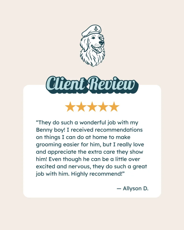 Instagram post from islanddoggroomingco. This post is in position 6.