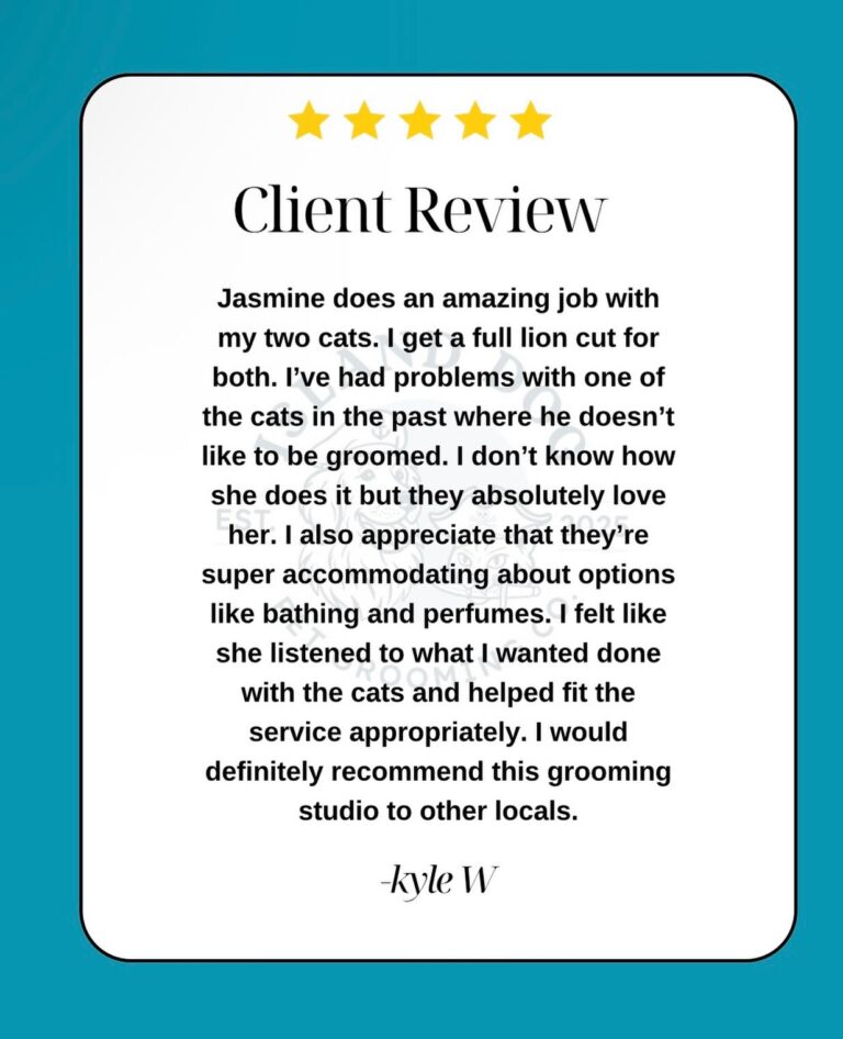 Instagram post from islanddoggroomingco. This post is in position 2.