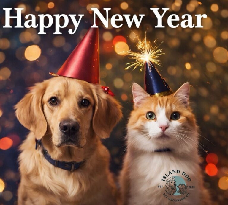 Instagram post from islanddoggroomingco. This post is in position 7.