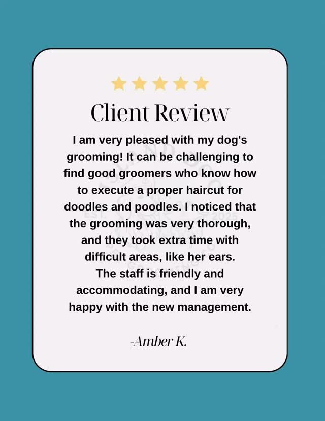 Instagram post from islanddoggroomingco. This post is in position 7.