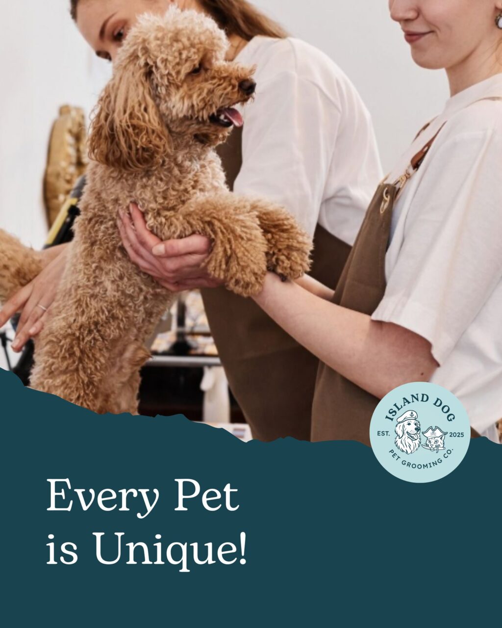 Instagram post from islanddoggroomingco. This post is in position 8.