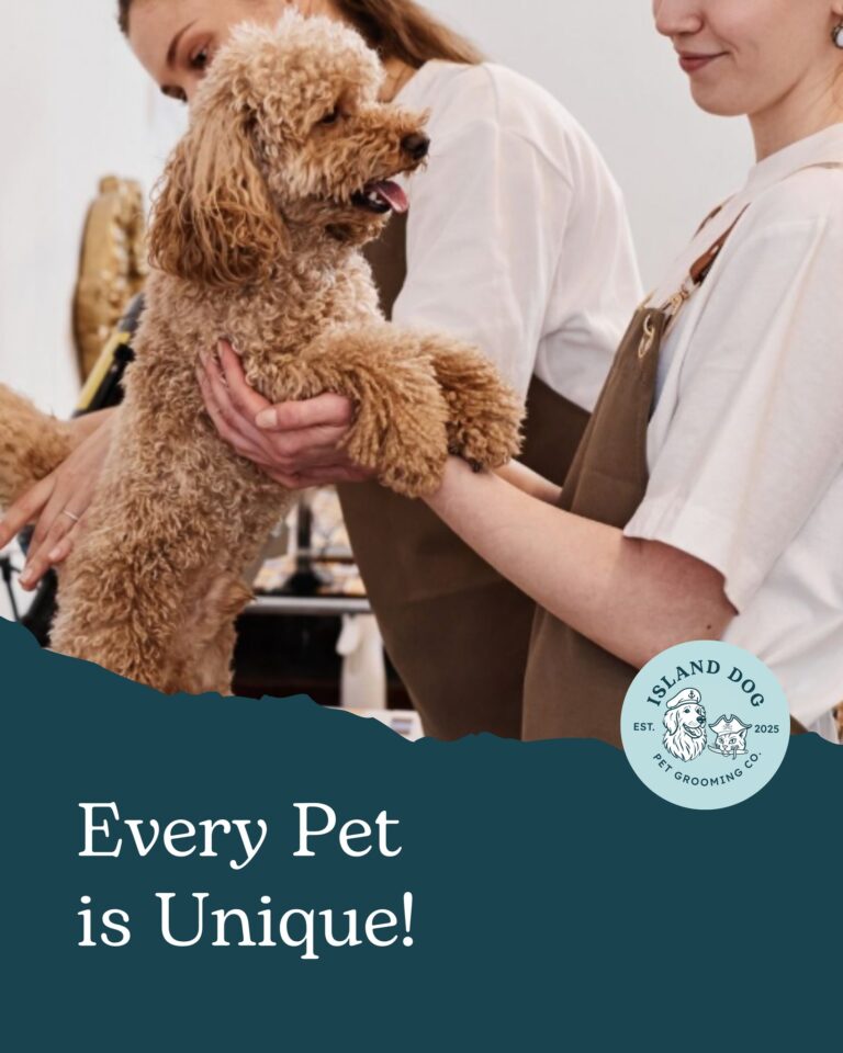 Instagram post from islanddoggroomingco. This post is in position 9.