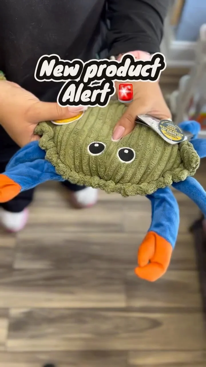 Instagram post from islanddoggroomingco. This post is in position 3.