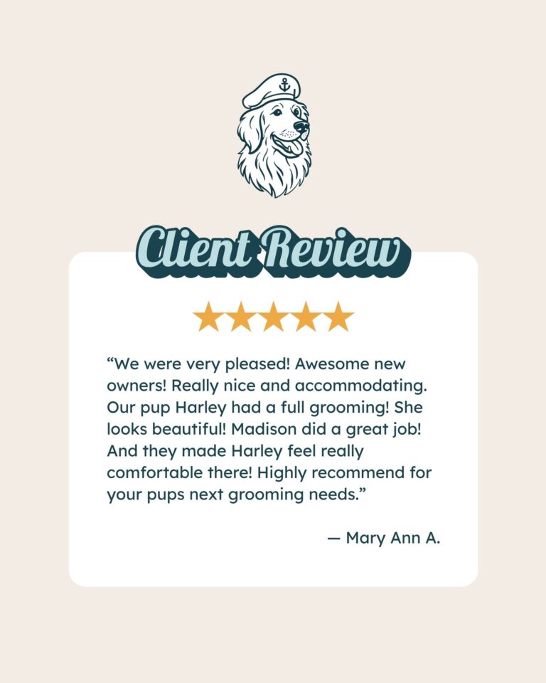 Instagram post from islanddoggroomingco. This post is in position 2.