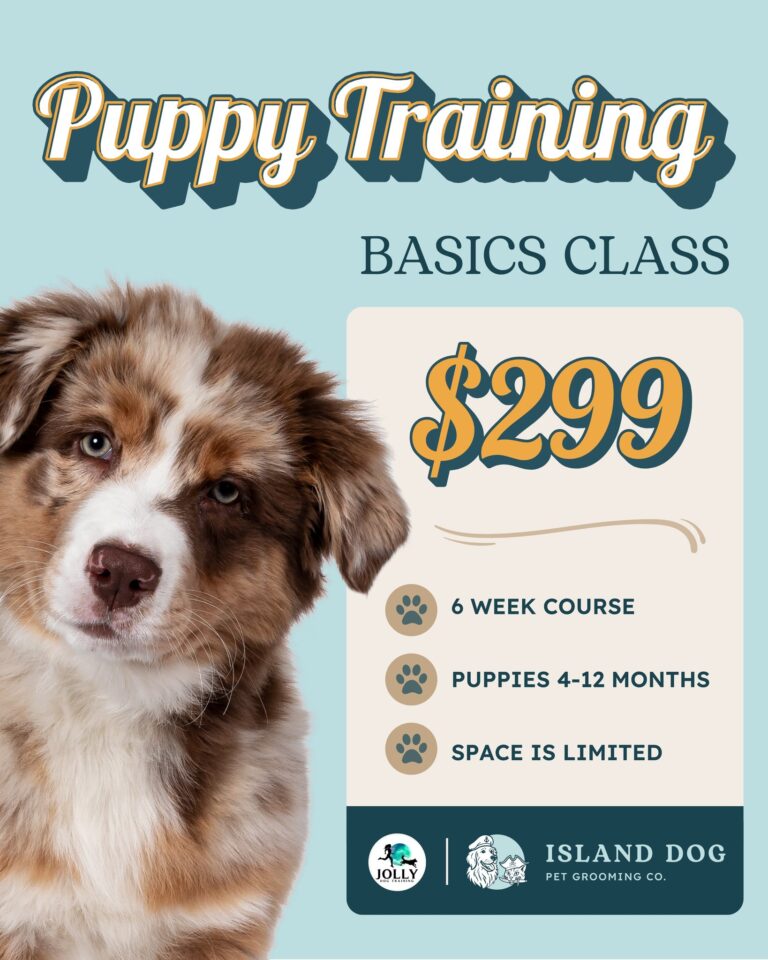 Instagram post from islanddoggroomingco. This post is in position 2.