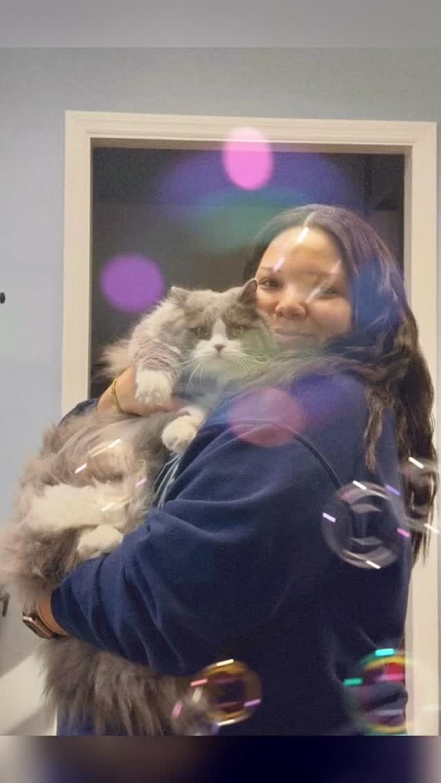 Instagram post from islanddoggroomingco. This post is in position 6.