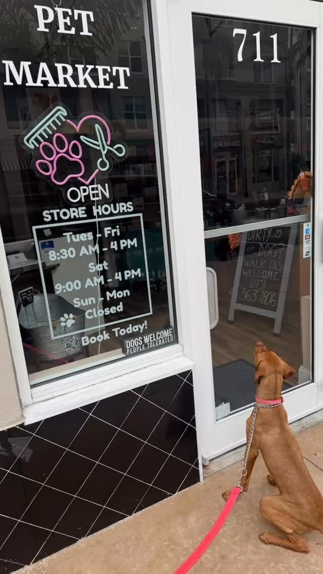 Instagram post from islanddoggroomingco. This post is in position 5.