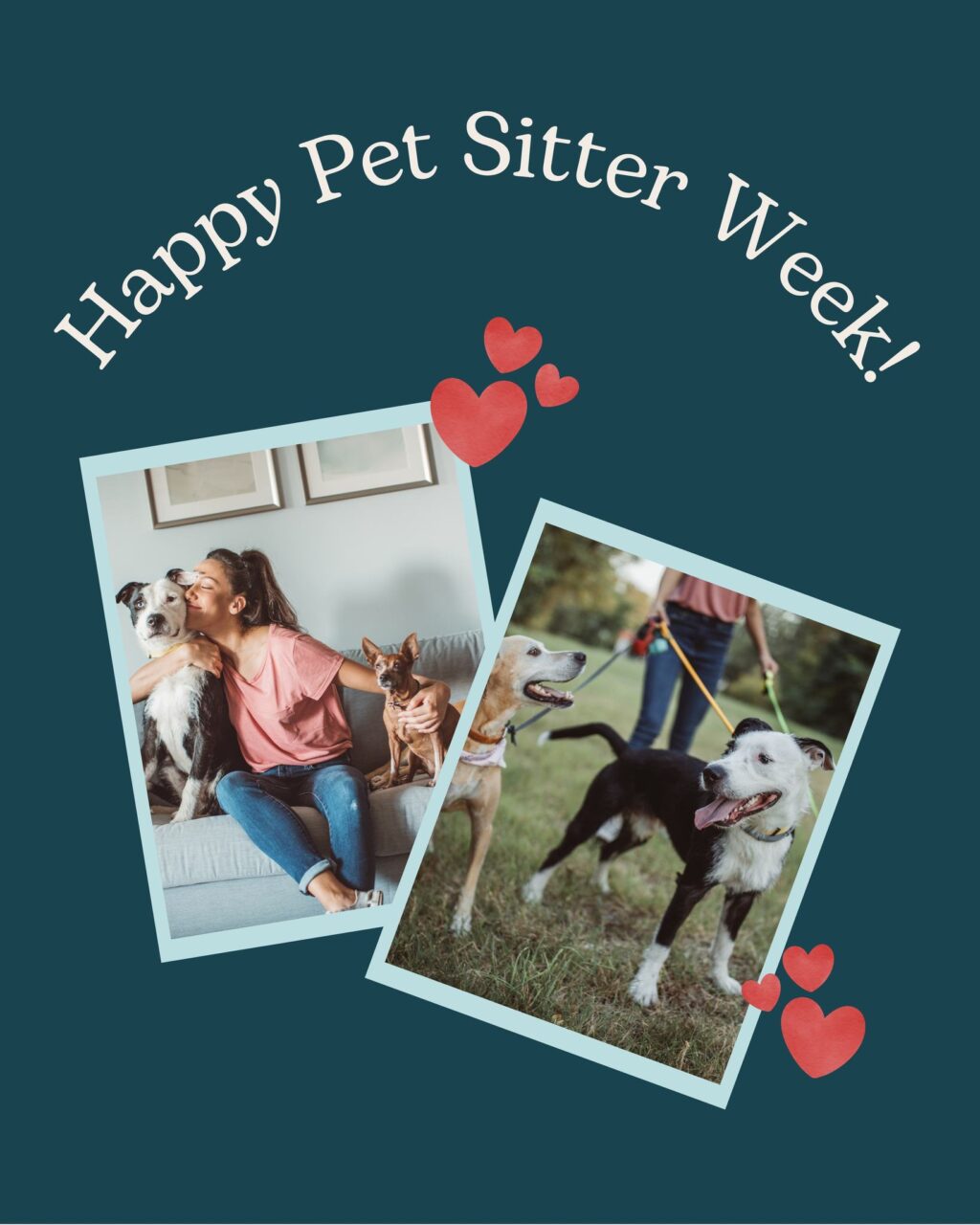 Instagram post from islanddoggroomingco. This post is in position 0.