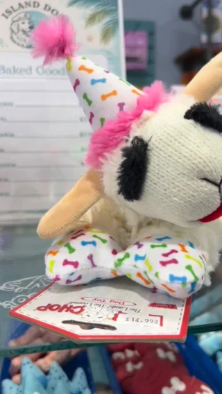 Instagram post from islanddoggroomingco. This post is in position 2.