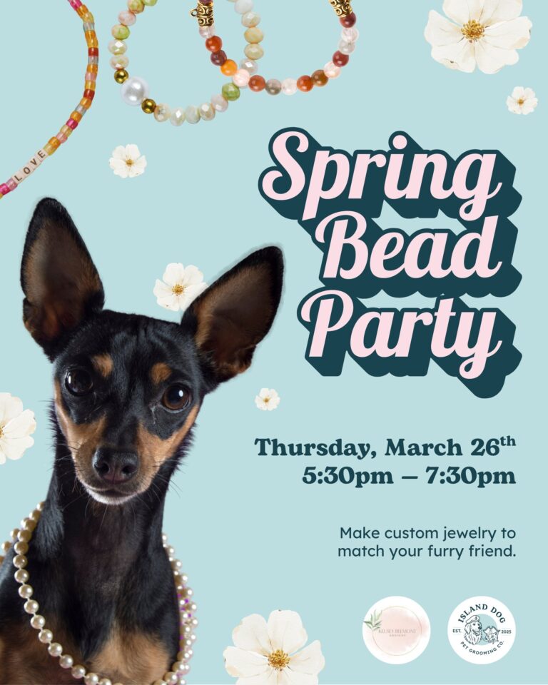 Instagram post from islanddoggroomingco. This post is in position 4.