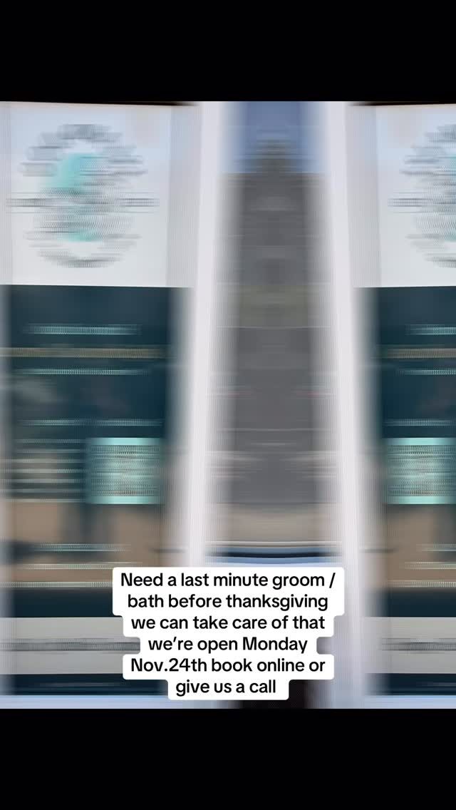 Instagram post from islanddoggroomingco. This post is in position 9.